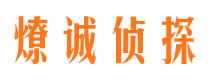 南海市私家侦探